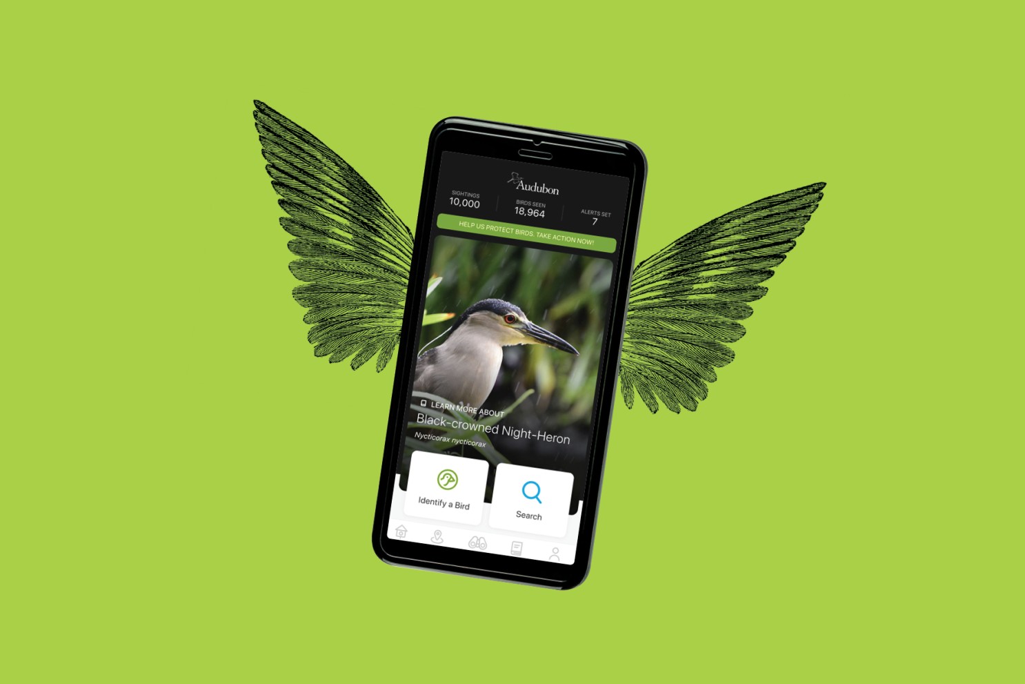 Bird app. Bird net приложение. Приложение EBIRD. Hummingbird GAMEZONE.